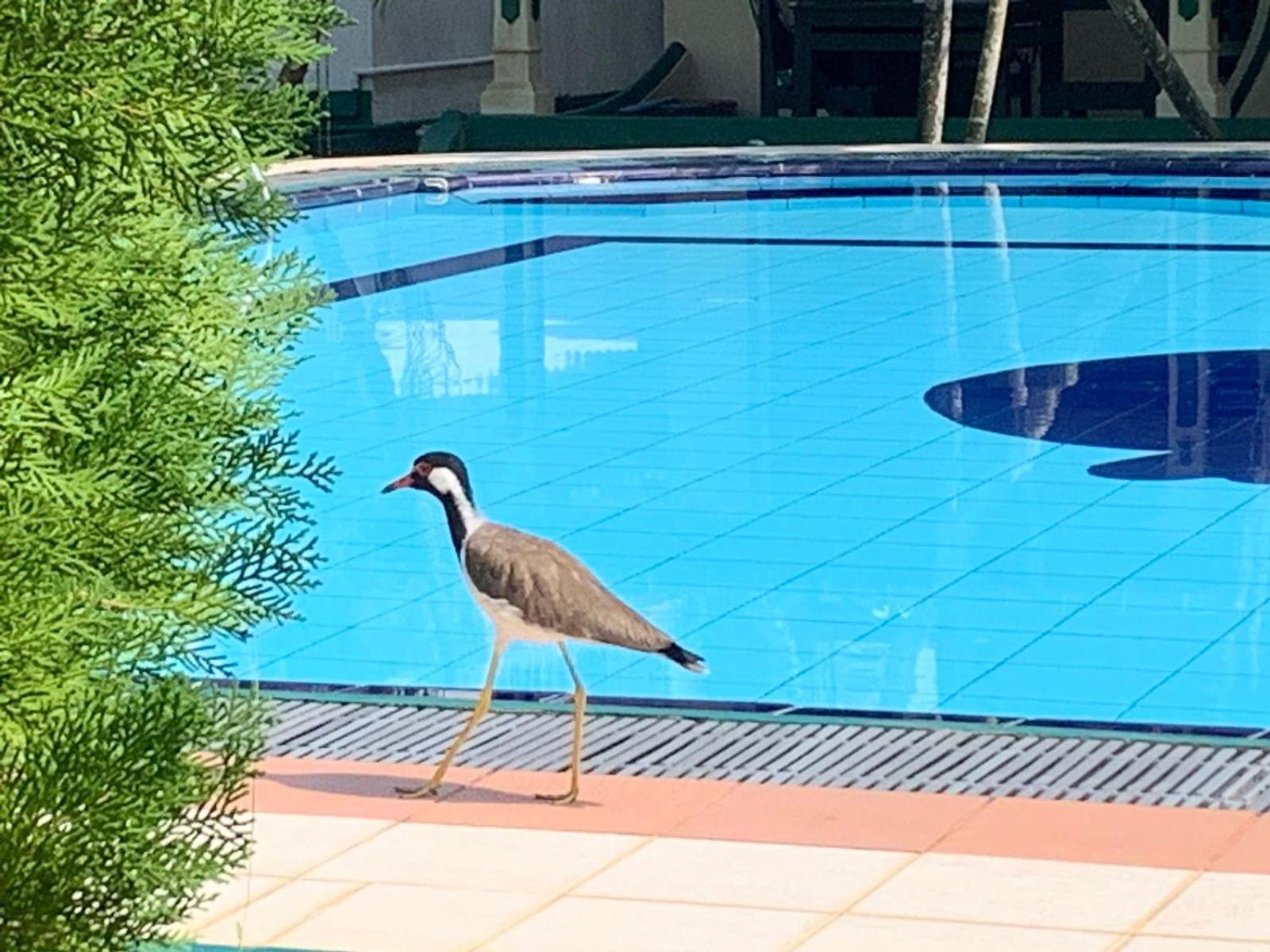 Sagarika Beach Hotel Moragalla 외부 사진