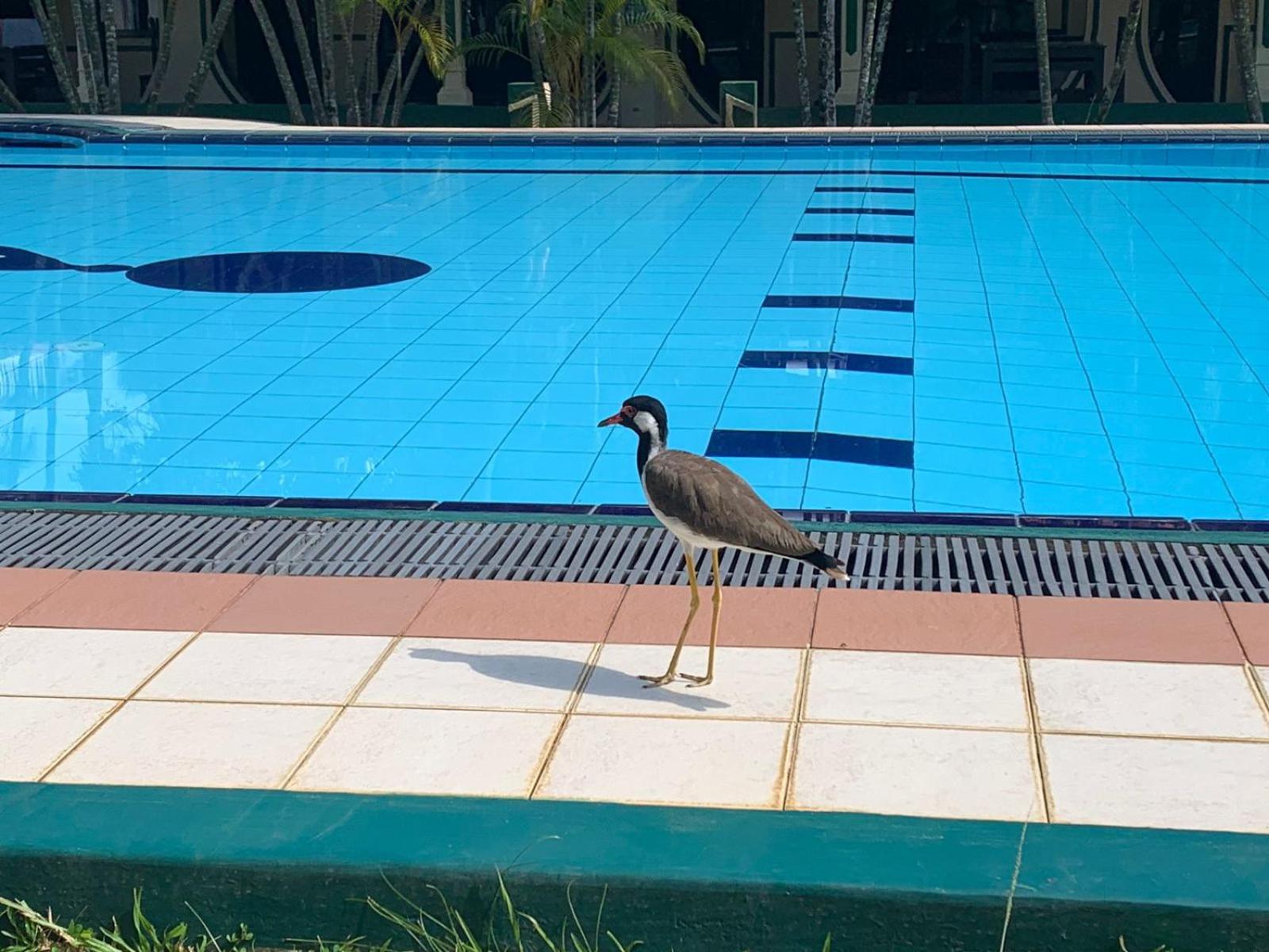 Sagarika Beach Hotel Moragalla 외부 사진